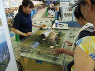 写真2